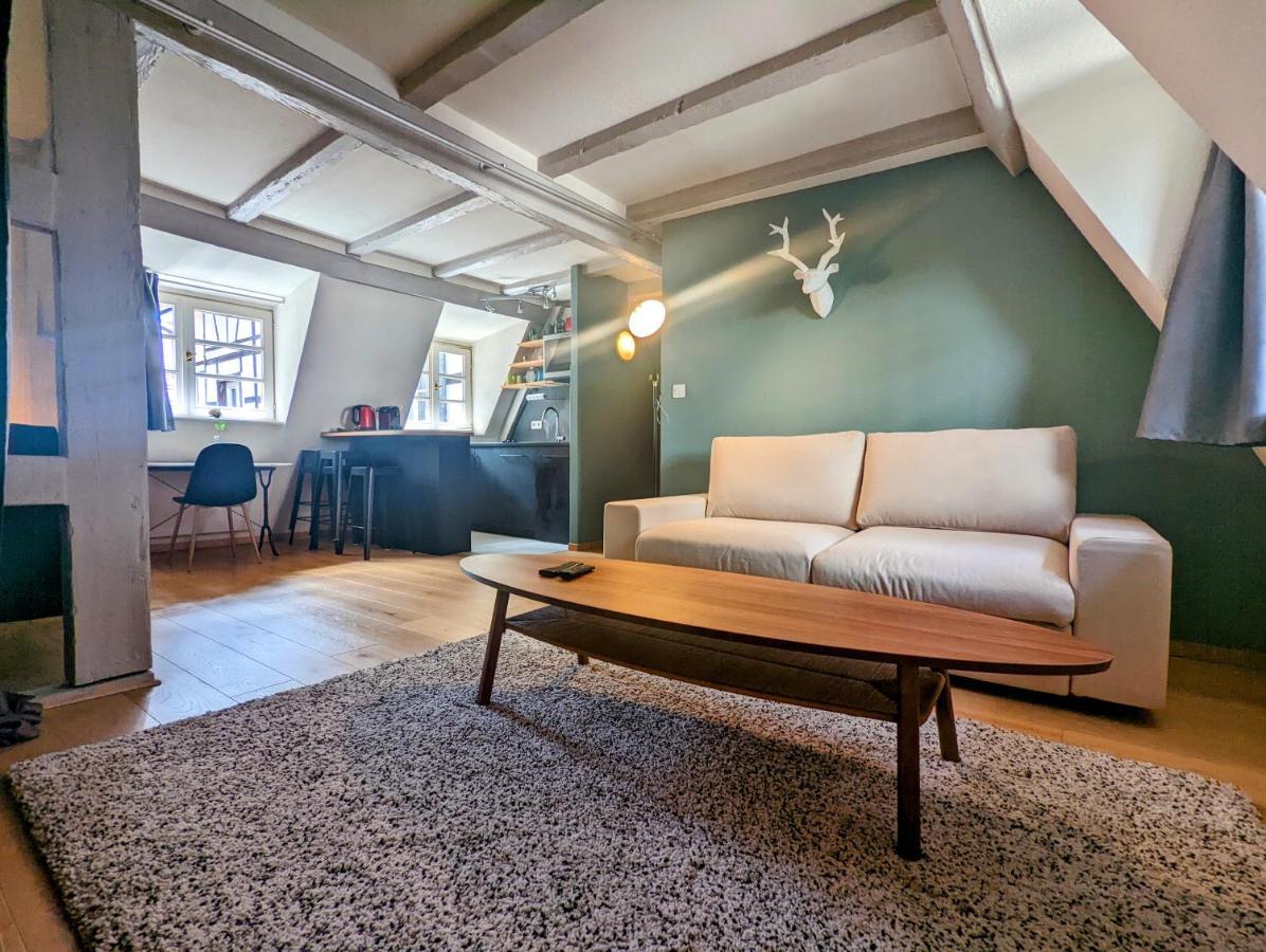 Citycosy Strasbourg - Authentique Batelier 外观 照片