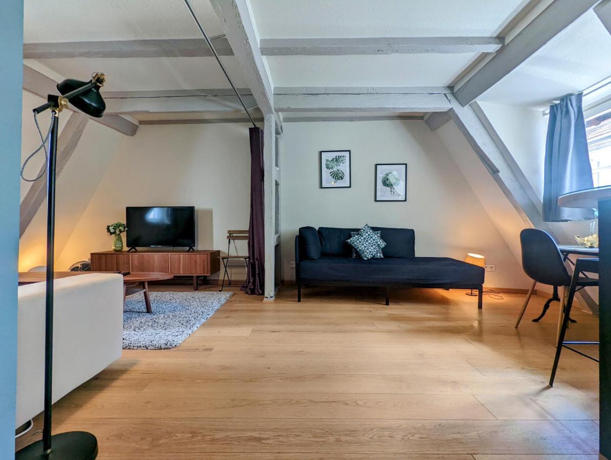 Citycosy Strasbourg - Authentique Batelier 外观 照片