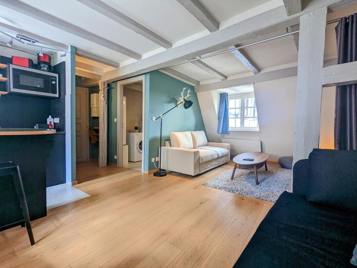 Citycosy Strasbourg - Authentique Batelier 外观 照片