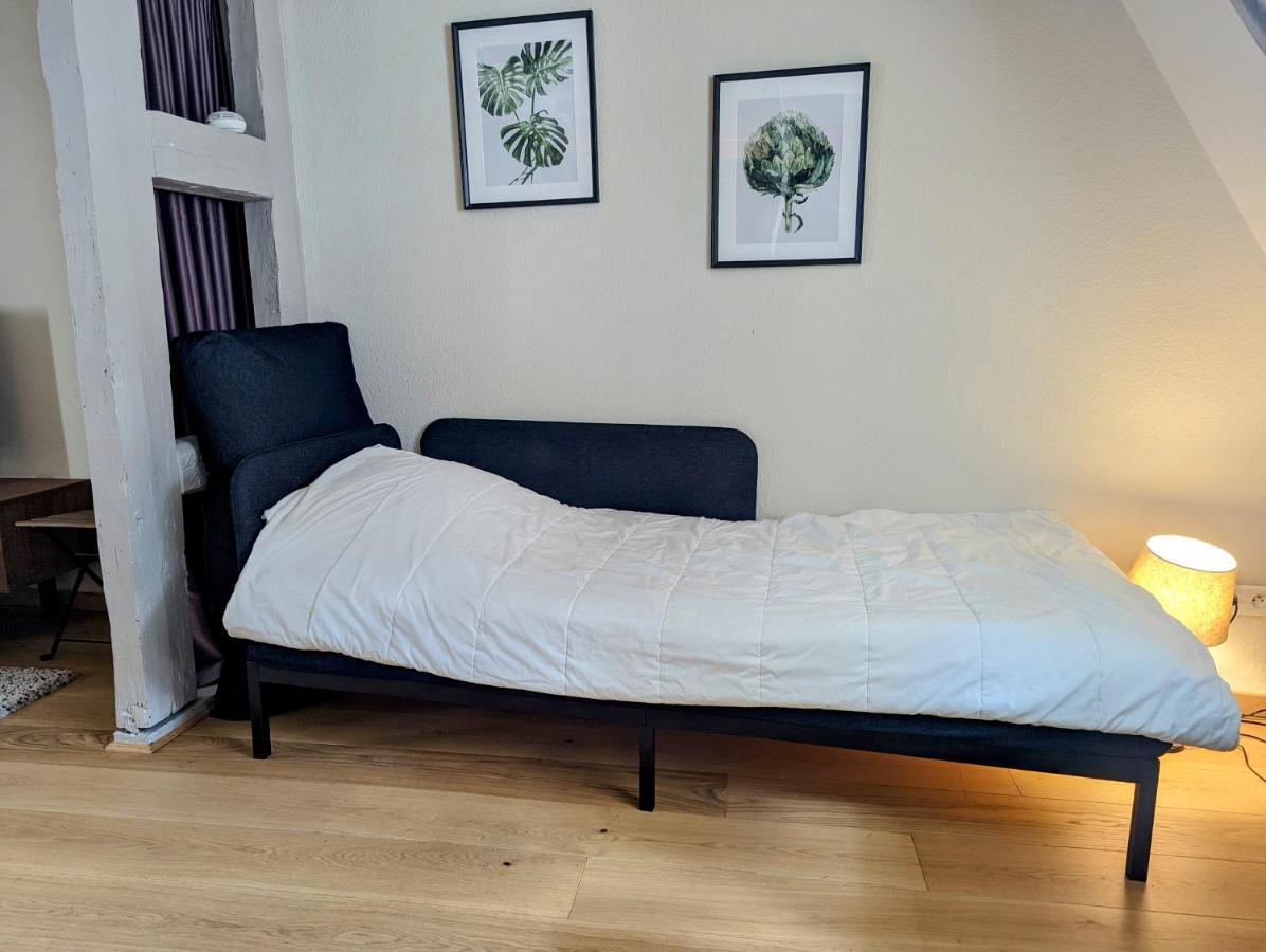 Citycosy Strasbourg - Authentique Batelier 外观 照片