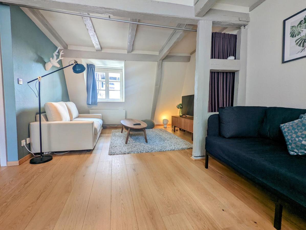 Citycosy Strasbourg - Authentique Batelier 外观 照片