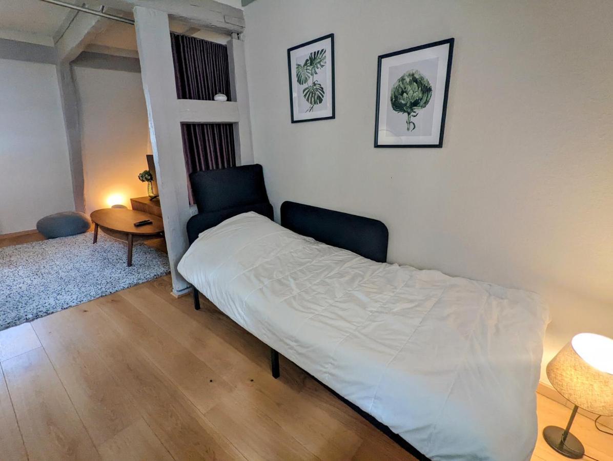 Citycosy Strasbourg - Authentique Batelier 外观 照片