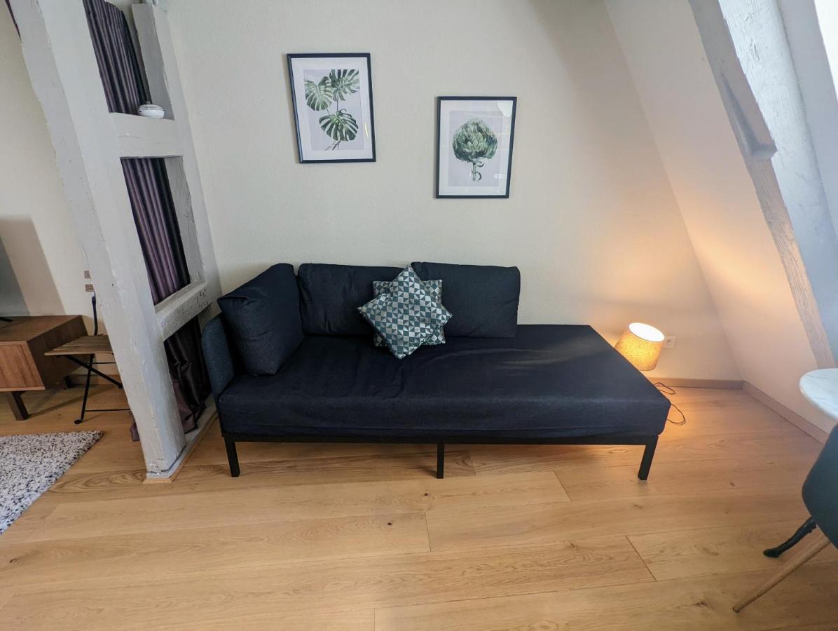 Citycosy Strasbourg - Authentique Batelier 外观 照片
