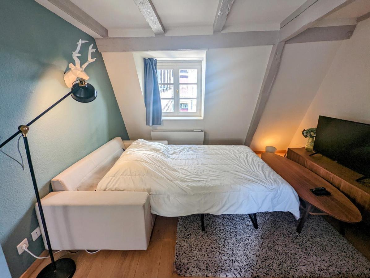 Citycosy Strasbourg - Authentique Batelier 外观 照片
